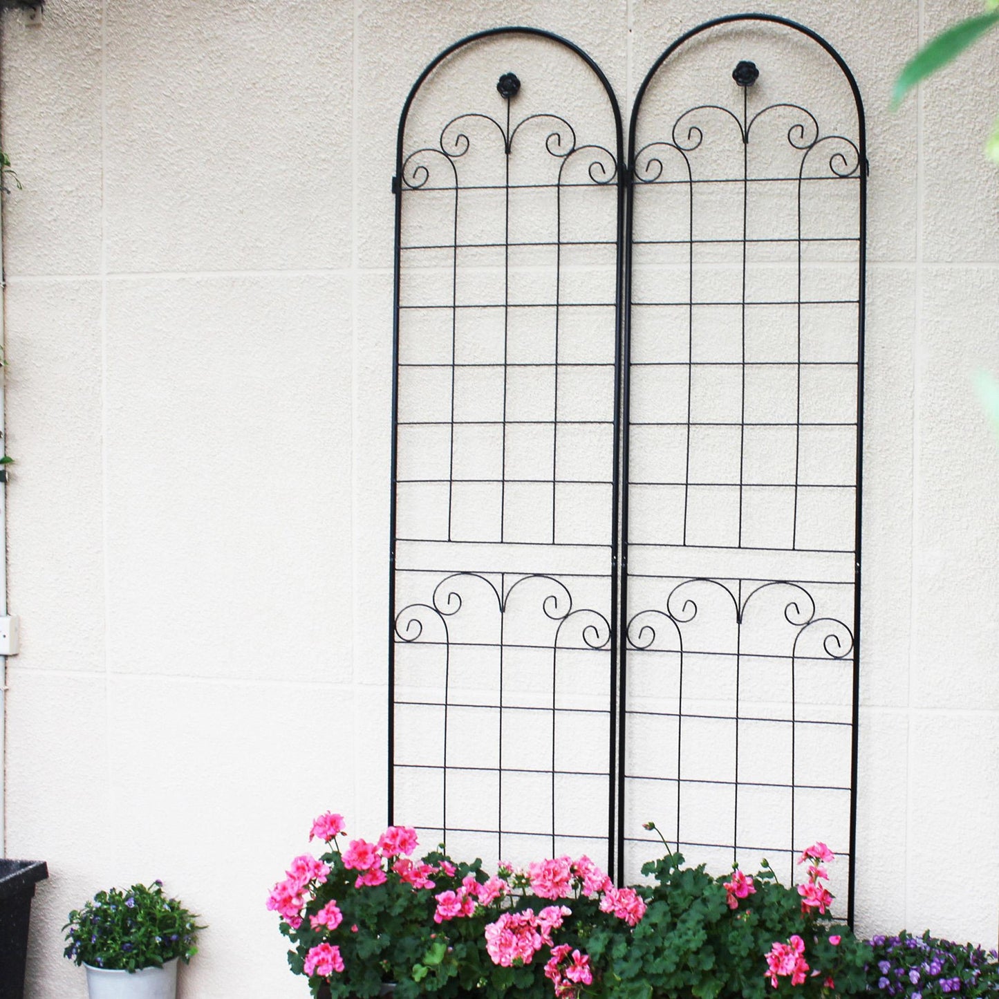Stunning Elegant Metal Garden Trellis for Beautiful Climbing Plants