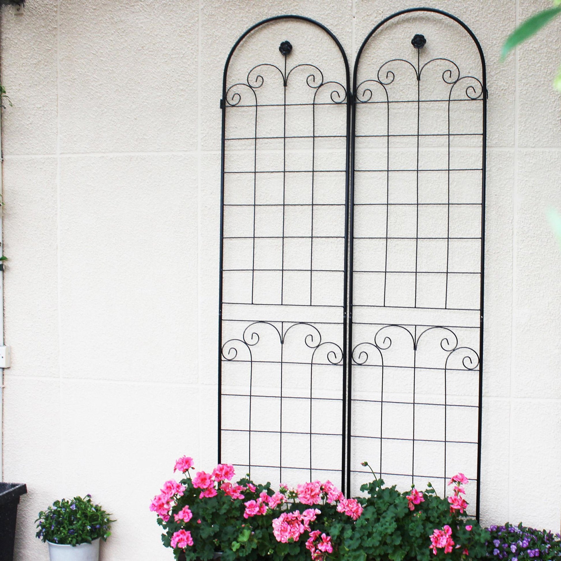 Stunning Elegant Metal Garden Trellis for Beautiful Climbing Plants