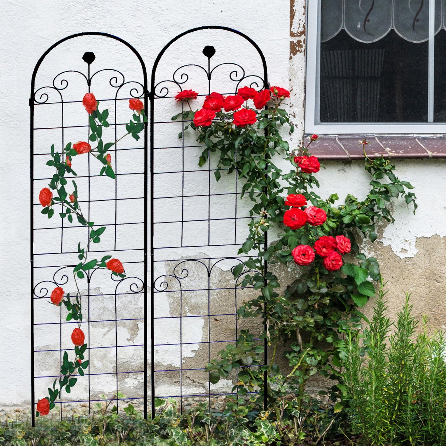 Stunning Elegant Metal Garden Trellis for Beautiful Climbing Plants