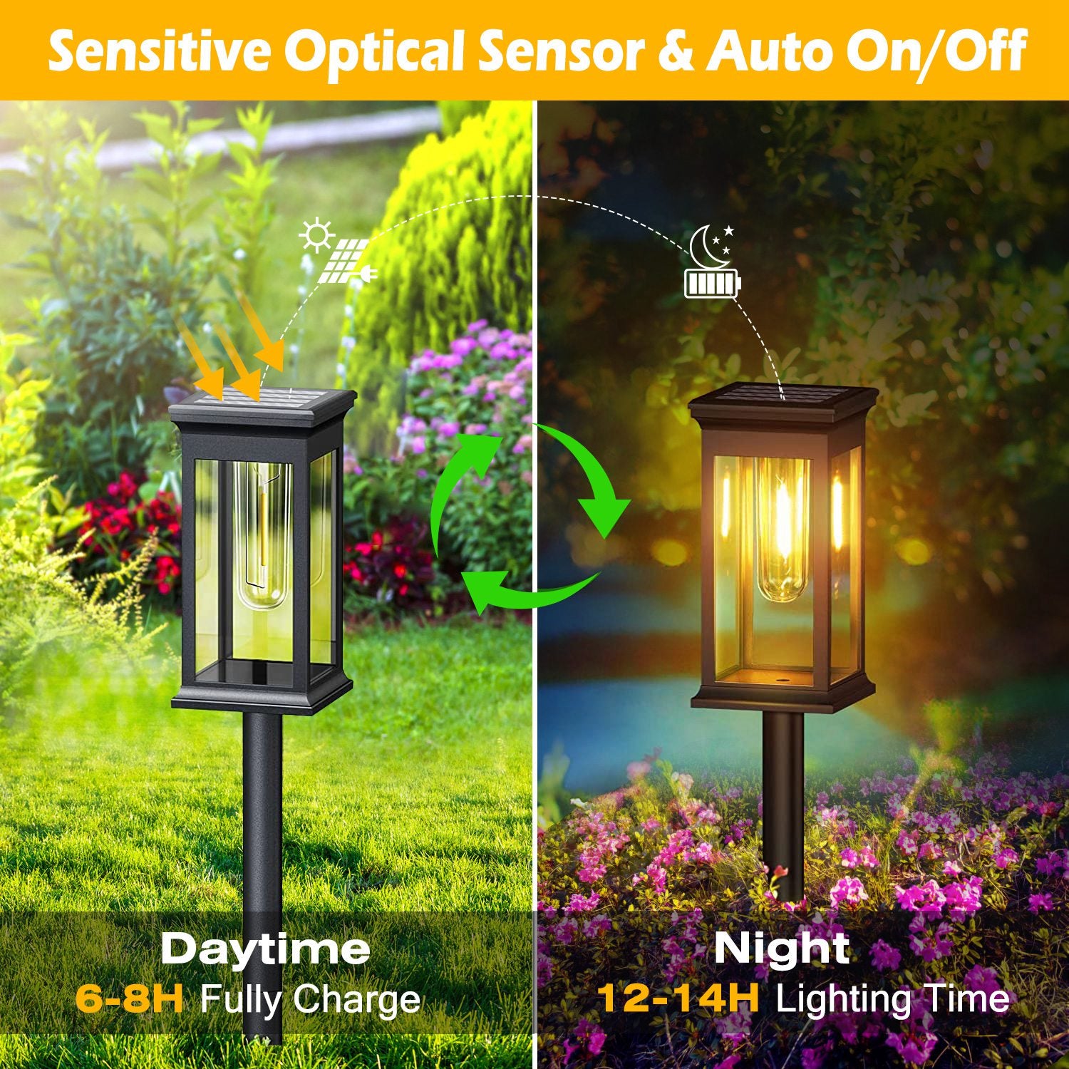 Transform Your Outdoor Space: 6-Pack Solar Waterproof Stake Lights for Pathway, Garden, and Patio