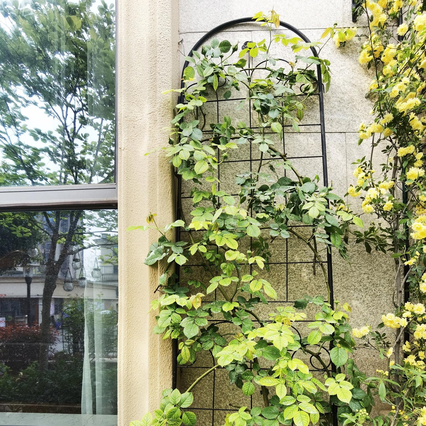 Stunning Elegant Metal Garden Trellis for Beautiful Climbing Plants