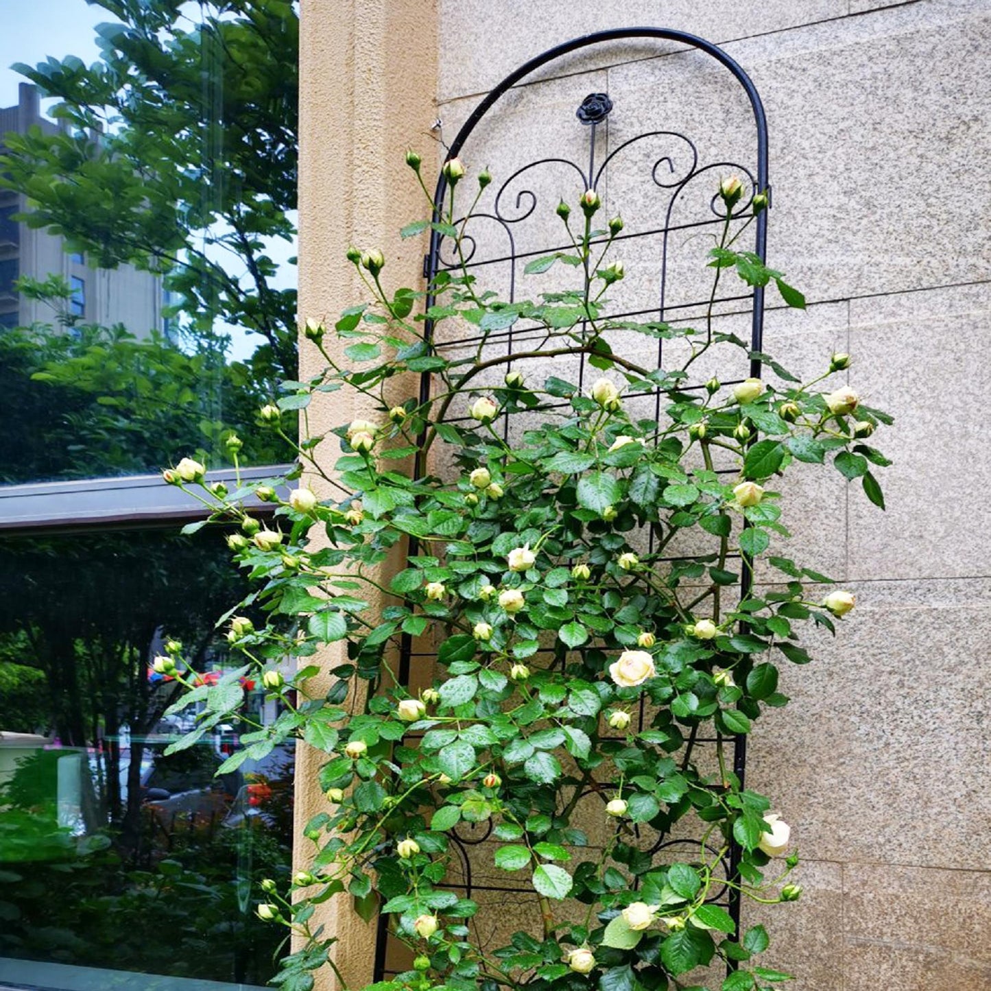 Stunning Elegant Metal Garden Trellis for Beautiful Climbing Plants