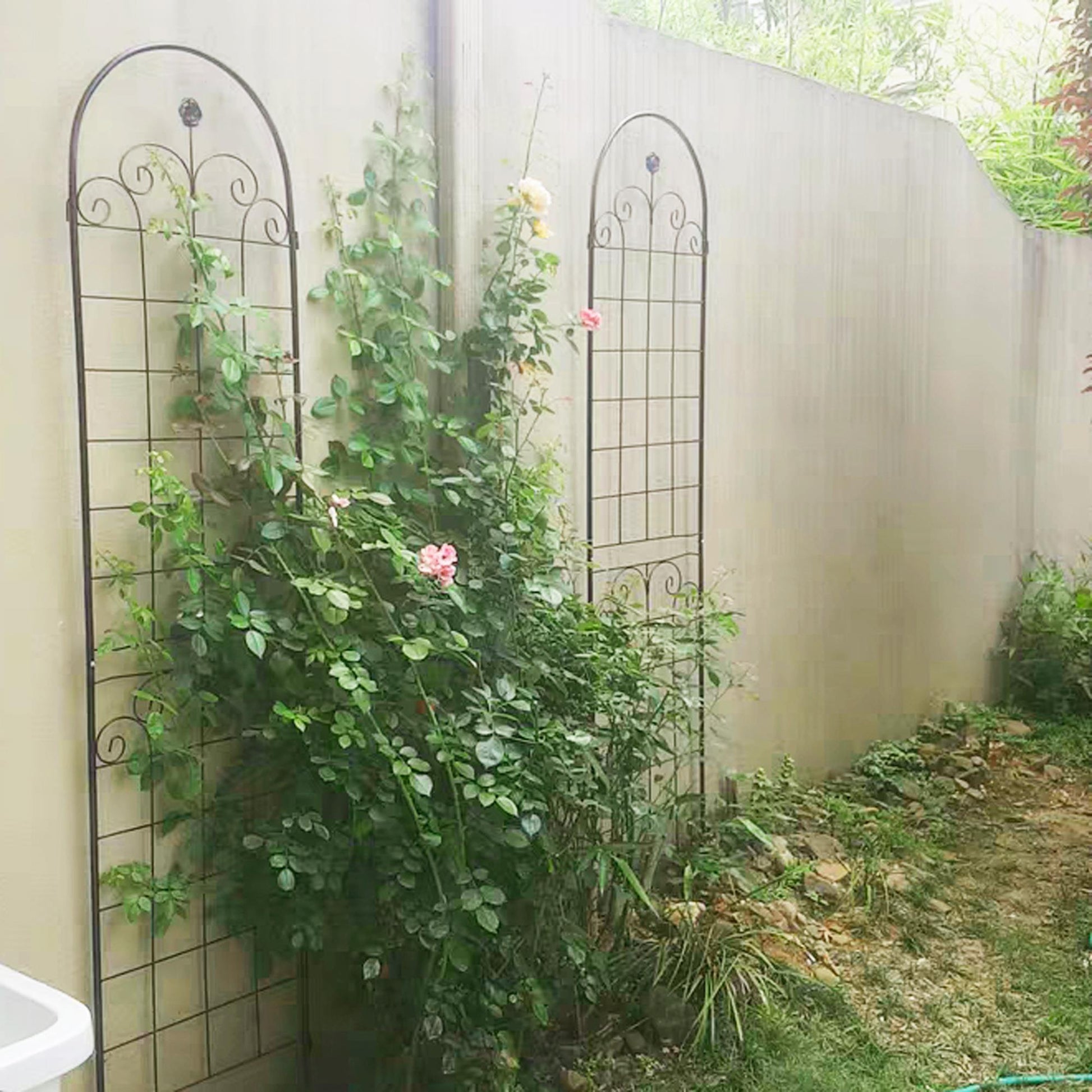 Stunning Elegant Metal Garden Trellis for Beautiful Climbing Plants
