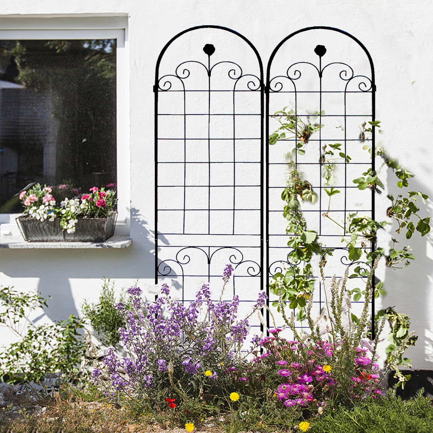 Stunning Elegant Metal Garden Trellis for Beautiful Climbing Plants