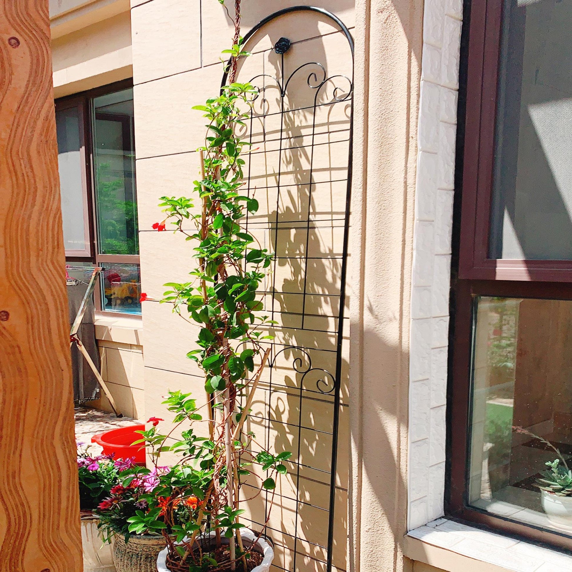 Stunning Elegant Metal Garden Trellis for Beautiful Climbing Plants