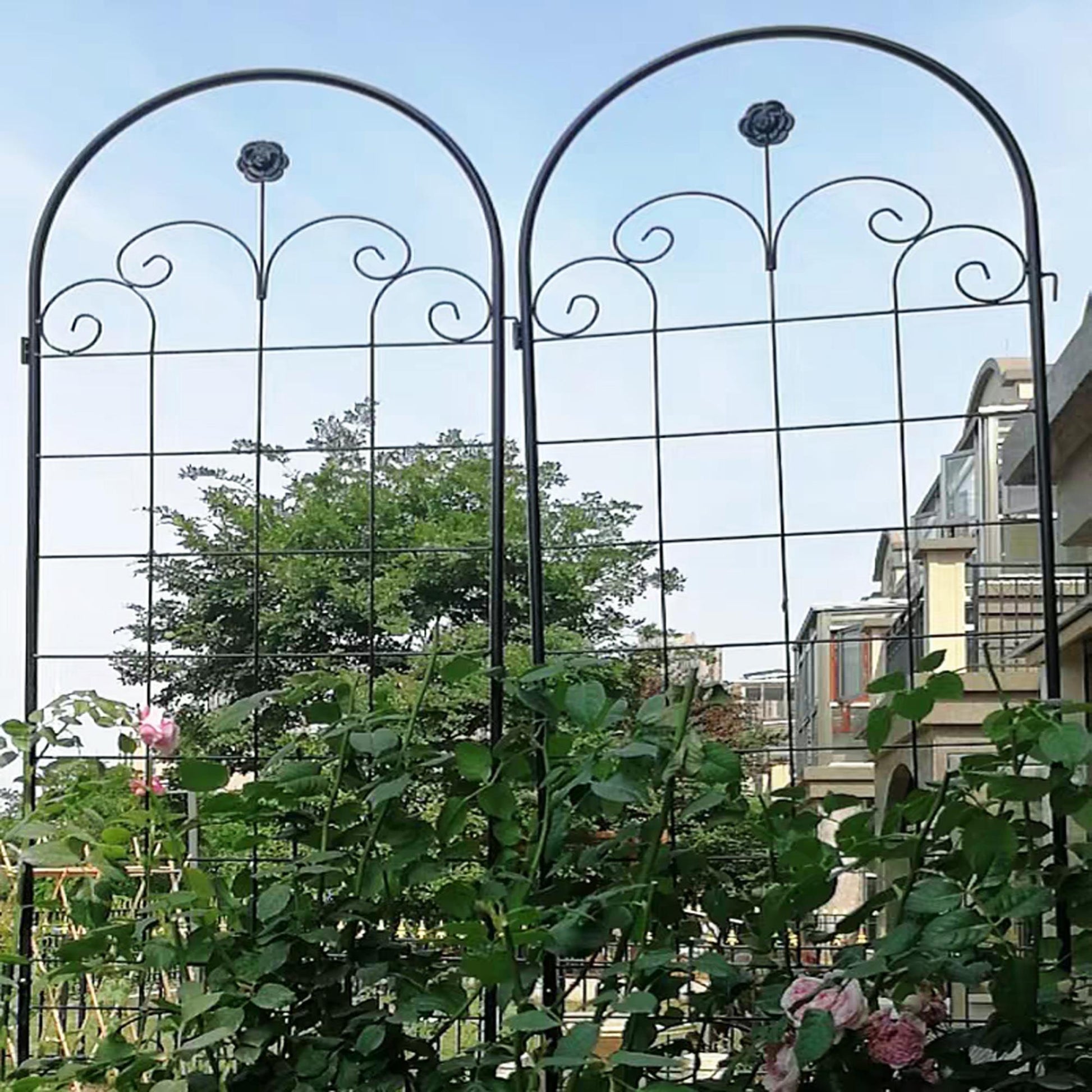 Stunning Elegant Metal Garden Trellis for Beautiful Climbing Plants